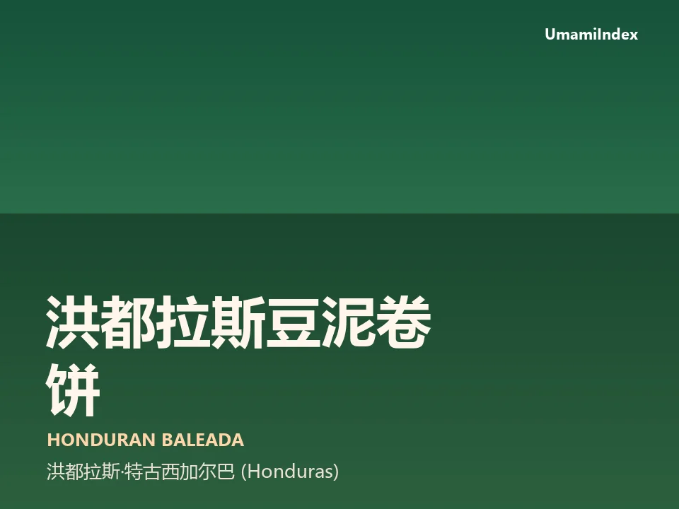 洪都拉斯豆泥卷饼