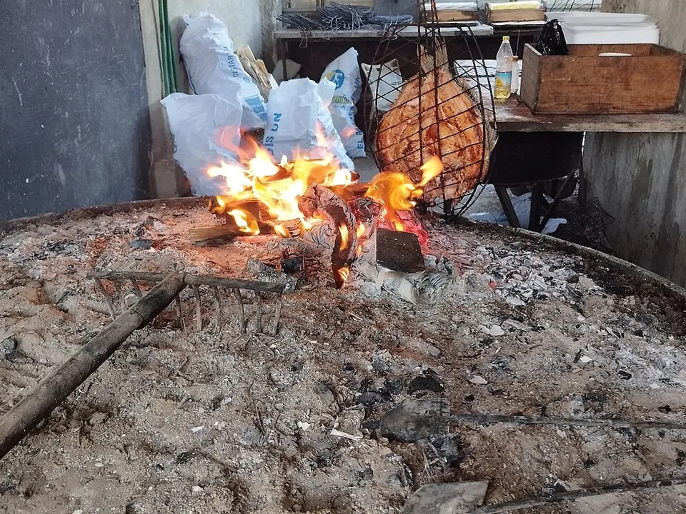 伊拉克炭烤鲤鱼